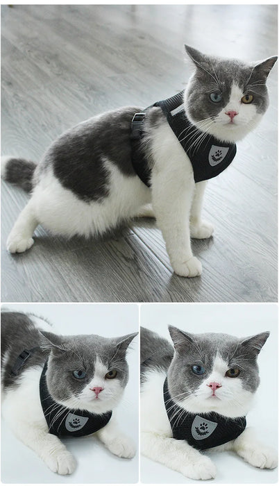 Accessori per cani Pettorina e guinzaglio per cani in rete traspirante Set Pettorina per cuccioli di gatto Gilet per cani di piccola taglia Chihuahua arnes para perro 35