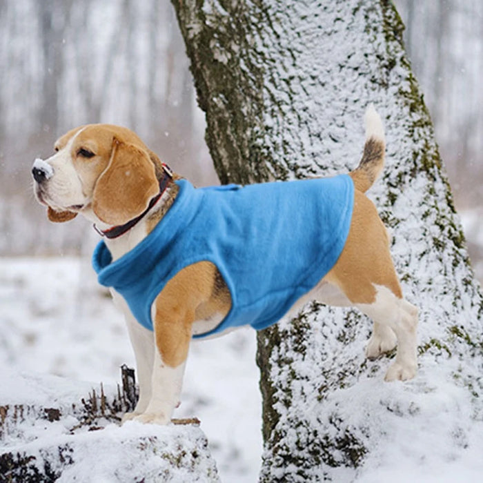 Pile Inverno Vestiti per animali domestici Cucciolo T-shirt Cani di piccola taglia Yorkshire Chihuahua Bulldog francese Barboncino Gilet per gatti Abbigliamento per la stagione calda