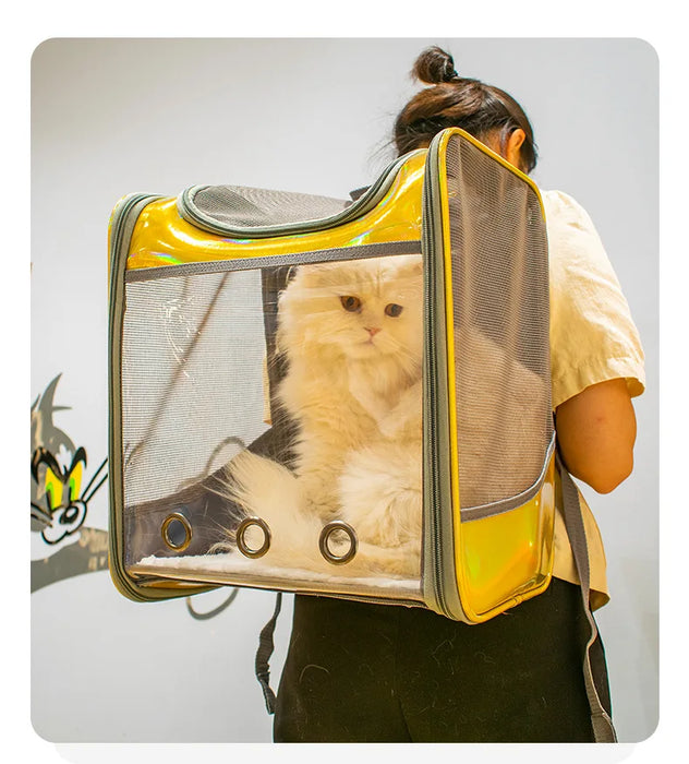 Borsa a tracolla da viaggio traspirante per zaino da trasporto per animali domestici per cani di piccola taglia