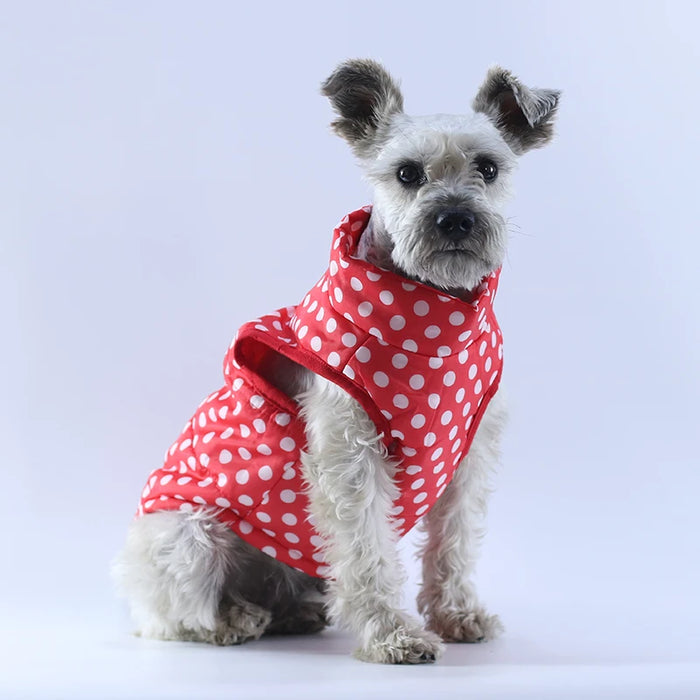 Vestiti caldi invernali per cani per cani di piccola taglia Abbigliamento per animali domestici Vestito per cuccioli Giacca per cani antivento Chihuahua Cappotto per bulldog francese Gilet Yorkies