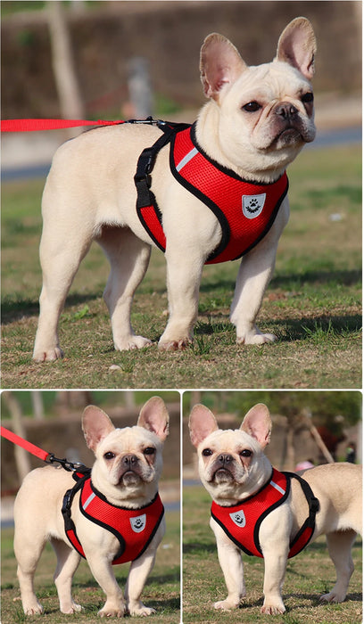 Accessori per cani Pettorina e guinzaglio per cani in rete traspirante Set Pettorina per cuccioli di gatto Gilet per cani di piccola taglia Chihuahua arnes para perro 35