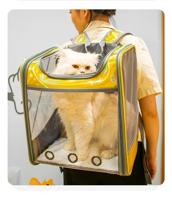 Borsa a tracolla da viaggio traspirante per zaino da trasporto per animali domestici per cani di piccola taglia