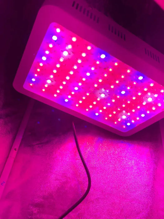 Spettro completo 300/600/800/1000/1200/2000W LED Pianta Coltiva La Luce 410-730nm Per Pianta da Interno Fiore Serra Giardino Coltiva Tenda scatola