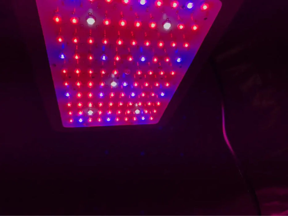 Spettro completo 300/600/800/1000/1200/2000W LED Pianta Coltiva La Luce 410-730nm Per Pianta da Interno Fiore Serra Giardino Coltiva Tenda scatola