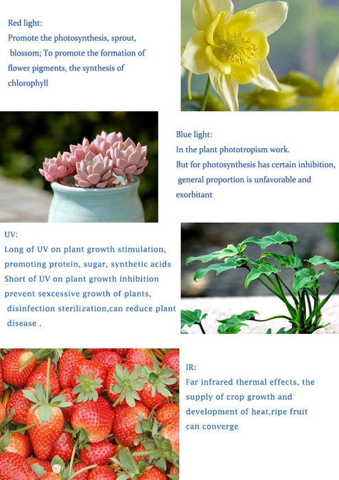 Spettro completo 300/600/800/1000/1200/2000W LED Pianta Coltiva La Luce 410-730nm Per Pianta da Interno Fiore Serra Giardino Coltiva Tenda scatola