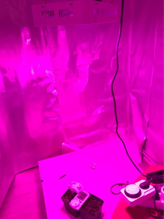 Spettro completo 300/600/800/1000/1200/2000W LED Pianta Coltiva La Luce 410-730nm Per Pianta da Interno Fiore Serra Giardino Coltiva Tenda scatola