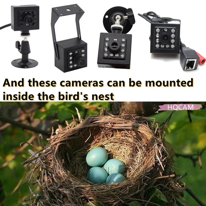 HQCAM Camhi 1920P 1080P Mini impermeabile IP66 Slot per scheda TF Visione notturna IR Telecamera IP Wifi Outdoor Car & Vehicle Flotta & Bird Nest
