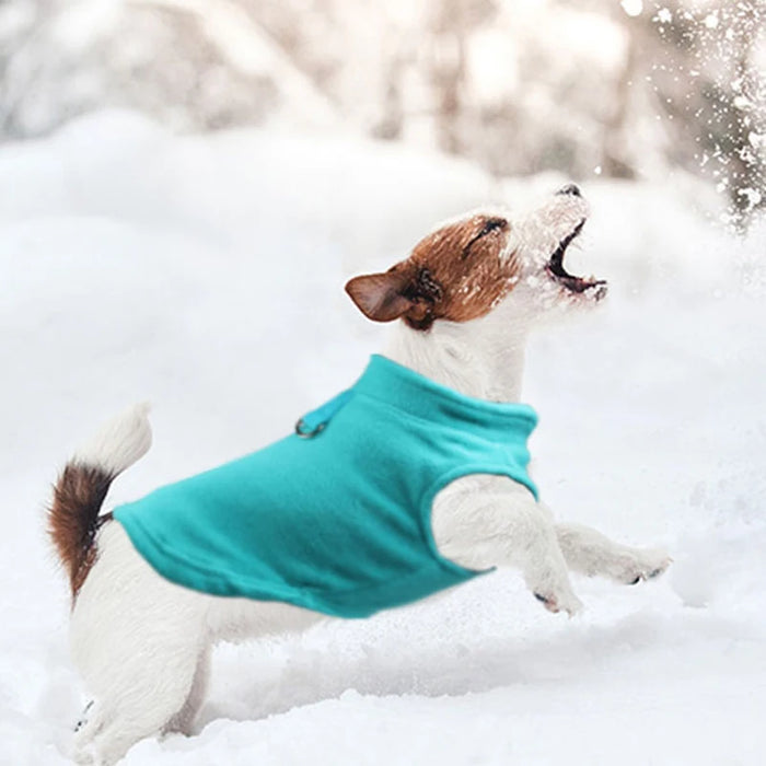Pile Inverno Vestiti per animali domestici Cucciolo T-shirt Cani di piccola taglia Yorkshire Chihuahua Bulldog francese Barboncino Gilet per gatti Abbigliamento per la stagione calda