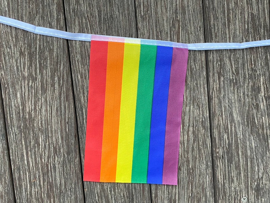 Xvggdg Rainbow string Flags 20 pz/set Rainbow Peace Flags Banner LGBT Pride lesbiche Gay Parades string