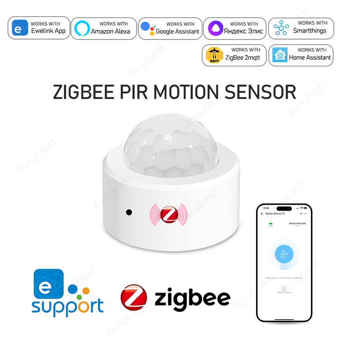 Zigbee 3.0 sensore di movimento umano PIR rilevatore a infrarossi allarme di sicurezza domestica intelligente controllo App Ewelink tramite Zigbee Bridge zigbe2mqtt