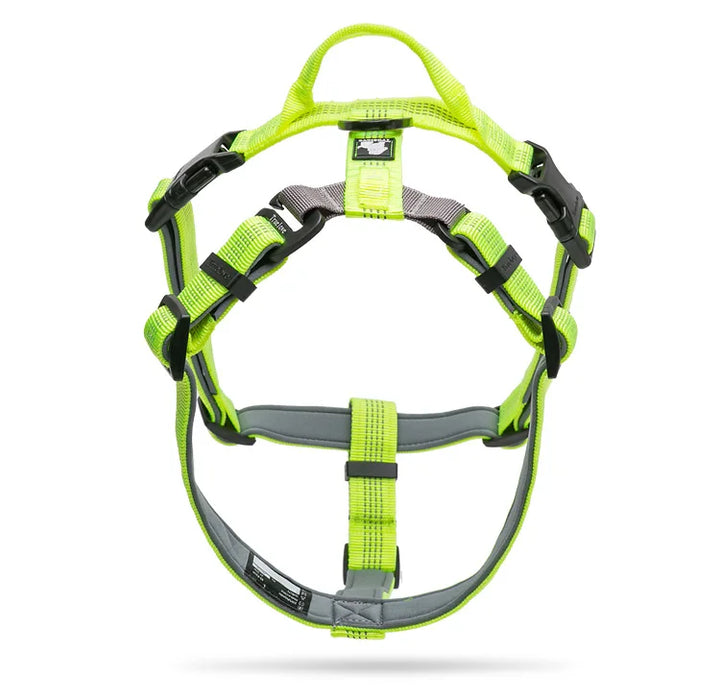 Truelove Pettorina per animali in nylon riflettente regolabile con collare Guinzaglio LED leggero imbottito in neoprene Escursionismo Corsa TLH6171 Dropshipping