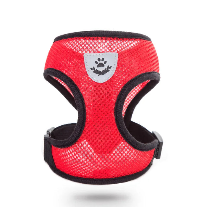 Accessori per cani Pettorina e guinzaglio per cani in rete traspirante Set Pettorina per cuccioli di gatto Gilet per cani di piccola taglia Chihuahua arnes para perro 35