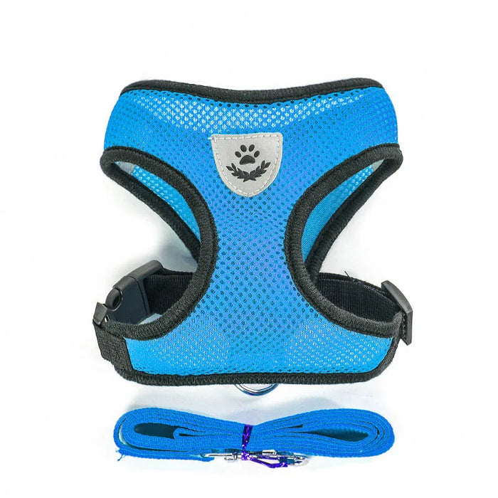 Accessori per cani Pettorina e guinzaglio per cani in rete traspirante Set Pettorina per cuccioli di gatto Gilet per cani di piccola taglia Chihuahua arnes para perro 35