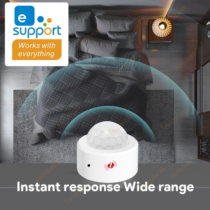 Zigbee 3.0 sensore di movimento umano PIR rilevatore a infrarossi allarme di sicurezza domestica intelligente controllo App Ewelink tramite Zigbee Bridge zigbe2mqtt