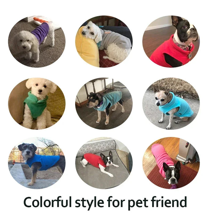 Pile Inverno Vestiti per animali domestici Cucciolo T-shirt Cani di piccola taglia Yorkshire Chihuahua Bulldog francese Barboncino Gilet per gatti Abbigliamento per la stagione calda
