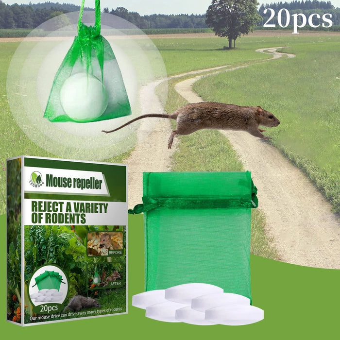Mantieni i topi fuori per la casa olio di menta piperita per topi e ratti topo scoiattolo per garage domestici armadi per camper camion motori per auto 1 scatola