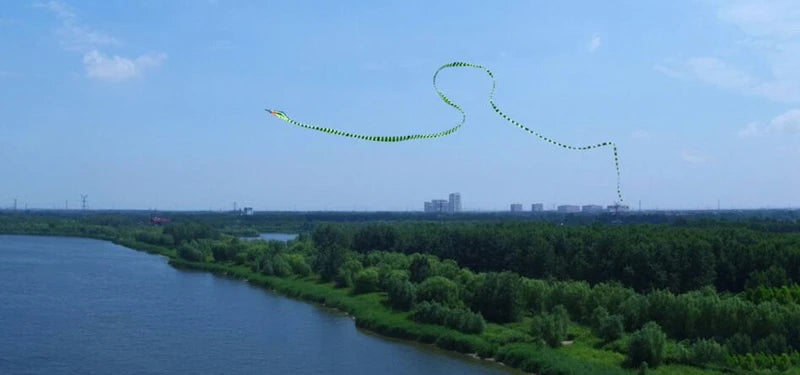 Spedizione gratuita serpente aquilone cobra aquilone linea di volo giocattoli all'aperto per adulti aquiloni uccelli aquiloni aquila animale wei aquilone fabbrica koi