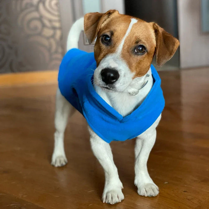 Pile Inverno Vestiti per animali domestici Cucciolo T-shirt Cani di piccola taglia Yorkshire Chihuahua Bulldog francese Barboncino Gilet per gatti Abbigliamento per la stagione calda