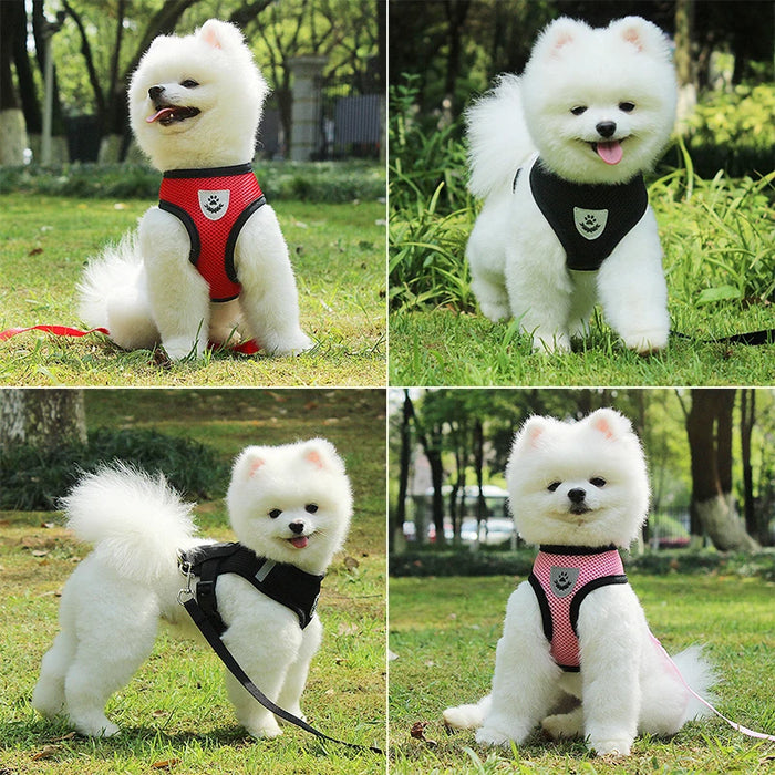 Accessori per cani Pettorina e guinzaglio per cani in rete traspirante Set Pettorina per cuccioli di gatto Gilet per cani di piccola taglia Chihuahua arnes para perro 35