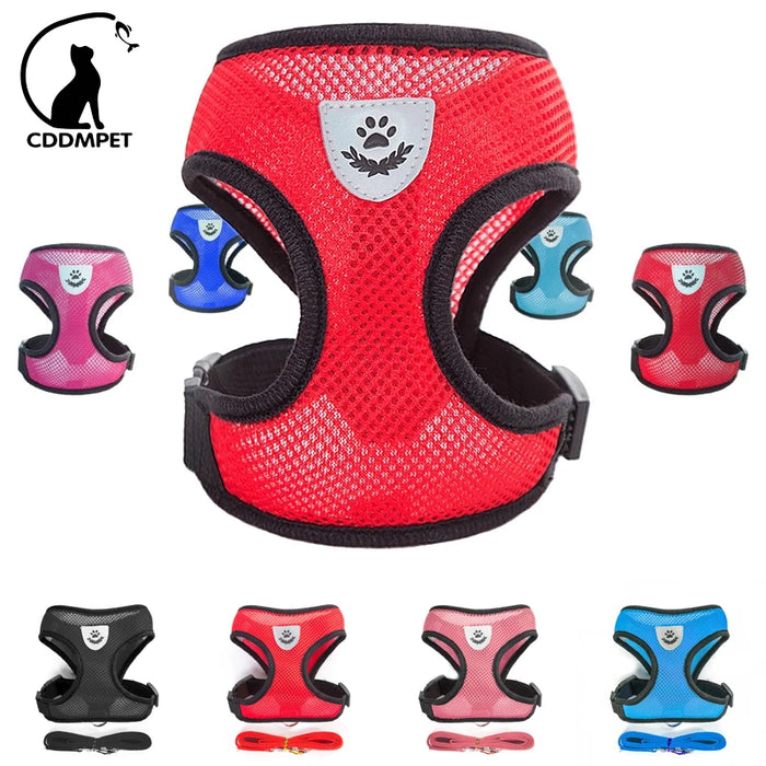 Accessori per cani Pettorina e guinzaglio per cani in rete traspirante Set Pettorina per cuccioli di gatto Gilet per cani di piccola taglia Chihuahua arnes para perro 35