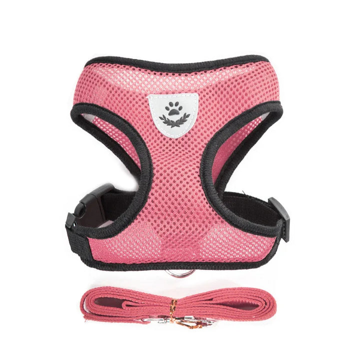 Accessori per cani Pettorina e guinzaglio per cani in rete traspirante Set Pettorina per cuccioli di gatto Gilet per cani di piccola taglia Chihuahua arnes para perro 35