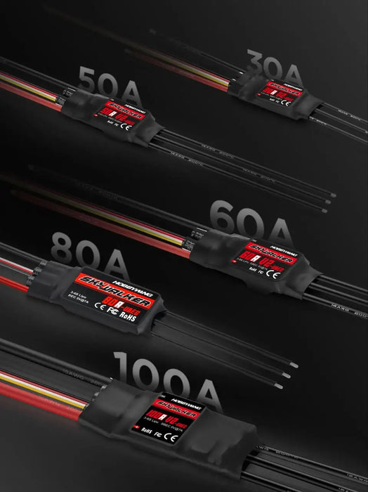 Hobbywing Skywalker 40A 50A 60A 80A 15A 20A 30A 100A 120A V2 regolatore di velocità ESC con UBEC per elicottero RC aeroplani