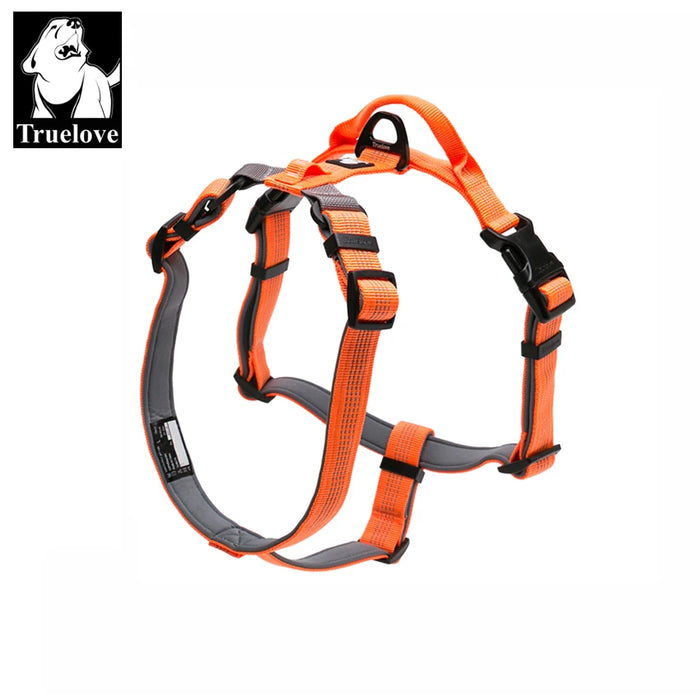 Truelove Pettorina per animali in nylon riflettente regolabile con collare Guinzaglio LED leggero imbottito in neoprene Escursionismo Corsa TLH6171 Dropshipping
