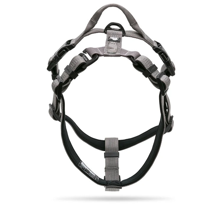 Truelove Pettorina per animali in nylon riflettente regolabile con collare Guinzaglio LED leggero imbottito in neoprene Escursionismo Corsa TLH6171 Dropshipping